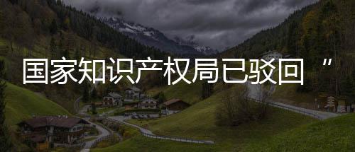 驳回标心产权3万知识局已机商件国家申请