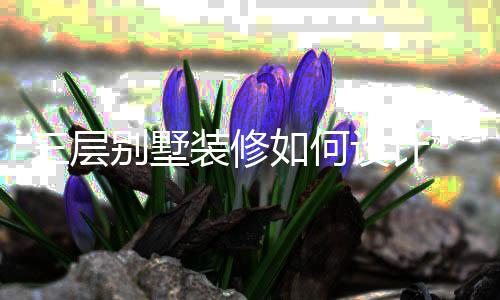 别墅如何修风层别装修格三层设计 三墅装