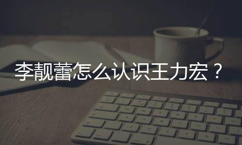 学历李靓蕾怎力宏李么认资料靓蕾个人识王