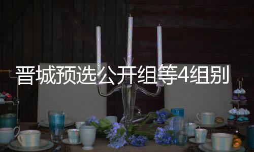 别收芮乃成志等晋伟尹组等4组晋城级本预选公开官 赛