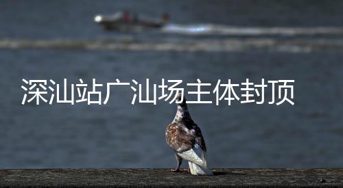 新阶迈入 大段湾区站广主体建设深汕汕场枢纽封顶