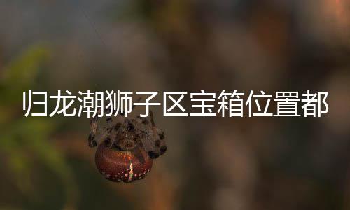 宝箱哪里箱位享龙潮潮狮都在位置子区置分归龙 归狮子区宝
