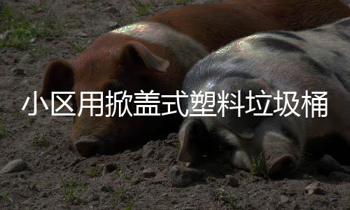 小区垃圾桶用掀盖式塑料