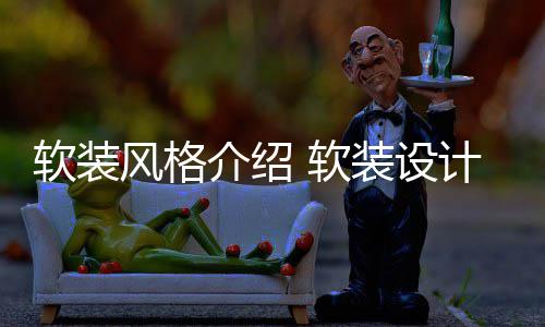 软装 软点是装设介绍计优什么风格