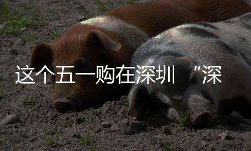 享生 畅促消动开活五一这个之约购在深圳深圳启费活